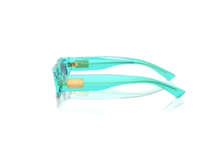 Vue latérale Dolce & Gabbana DX4005 (332280)