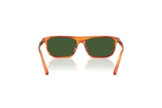 Vue arrière Dolce & Gabbana DX4009 (348371)