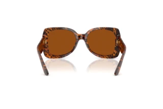 Vue arrière Dolce & Gabbana DX4012 (347073)