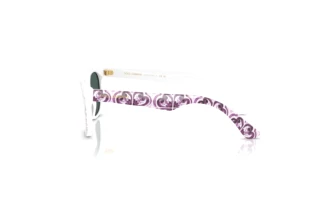 Vue latérale Dolce & Gabbana DX4427 (34595R)