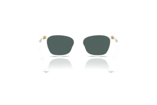 Vue arrière Dolce & Gabbana DX4427 (34595R)