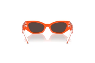 Vue arrière Dolce & Gabbana DX6003 (33386Q)