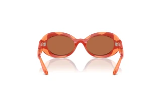 Vue arrière Dolce & Gabbana DX6005 (33887T)