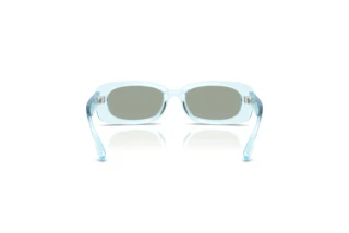 Vue arrière Dolce & Gabbana DX6006U (33466J)