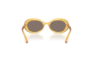 Vue arrière Dolce & Gabbana DX6007U (34555A)