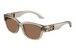 Dolce & Gabbana DX6009 329173 Dark BrownTransparent Beige