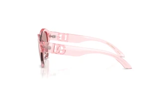 Vue latérale Dolce & Gabbana DX6010 (3098VS)