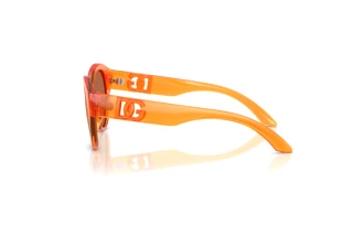 Vue latérale Dolce & Gabbana DX6010 (33887J)