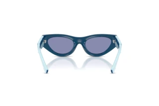 Vue arrière Dolce & Gabbana DX6012 (30151U)