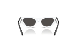 Vue arrière Dolce & Gabbana DX6012 (345787)