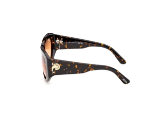 Vue latérale Emilio Pucci EP0241 (52F)