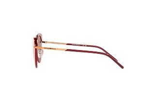 Vue latérale Emporio Armani EA2133 (30117J)