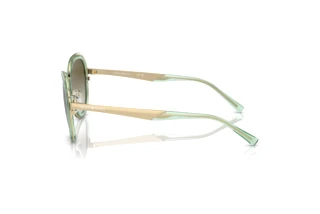 Vue latérale Emporio Armani EA2146 (33638E)