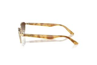 Vue latérale Emporio Armani EA2153 (301313)