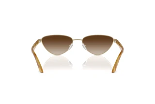 Vue arrière Emporio Armani EA2153 (301313)