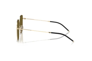 Vue latérale Emporio Armani EA2159D (301373)