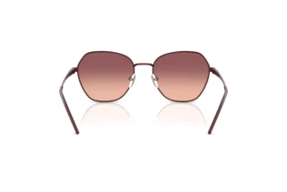 Vue arrière Emporio Armani EA2161 (34018D)