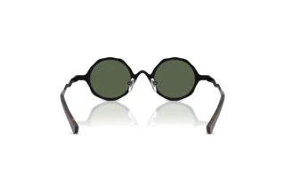 Vue arrière Emporio Armani EA2166 (3001/2)