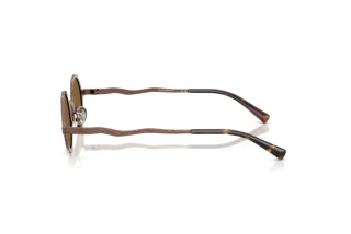 Vue latérale Emporio Armani EA2166 (300473)