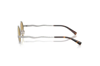 Vue latérale Emporio Armani EA2166 (3015/2)