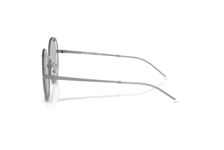 Vue latérale Emporio Armani EA2168 (300387)