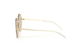 Vue latérale Emporio Armani EA2168 (301393)