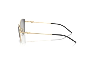 Vue latérale Emporio Armani EA2170 (30138G)