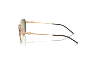 Vue latérale Emporio Armani EA2170 (342713)