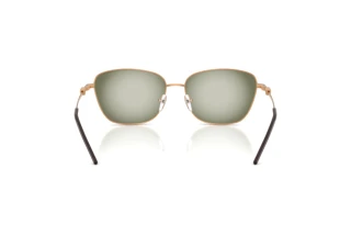 Vue arrière Emporio Armani EA2170 (342713)