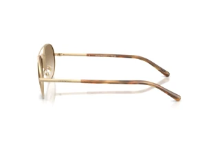 Vue latérale Emporio Armani EA2171 (300213)