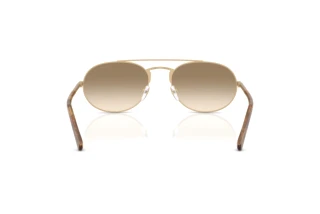 Vue arrière Emporio Armani EA2171 (300213)