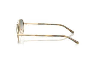 Vue latérale Emporio Armani EA2171 (30022C)