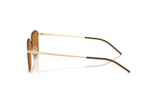 Vue latérale Emporio Armani EA2172D (301373)