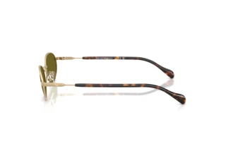 Vue latérale Emporio Armani EA2175 (3002/2)