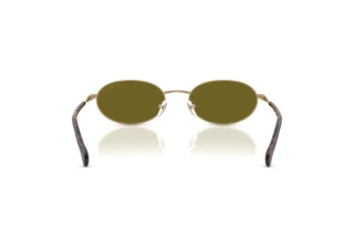 Vue arrière Emporio Armani EA2175 (3002/2)