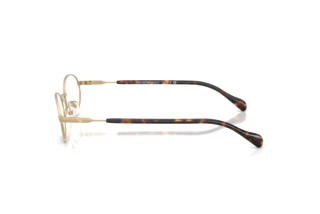 Vue latérale Emporio Armani EA2175 (30021W)