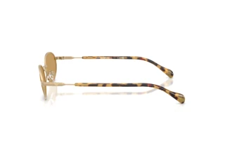 Vue latérale Emporio Armani EA2175 (300273)