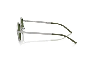 Vue latérale Emporio Armani EA2176 (301571)