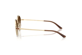 Vue latérale Emporio Armani EA2177 (344113)