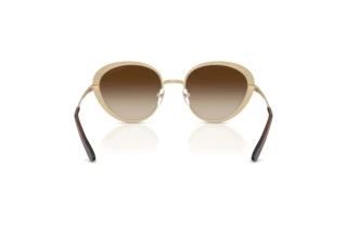 Vue arrière Emporio Armani EA2177 (344113)