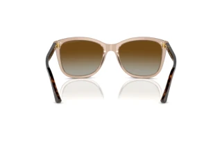 Vue arrière Emporio Armani EA4060 (5850T5)