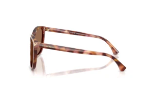 Vue latérale Emporio Armani EA4060 (619673)