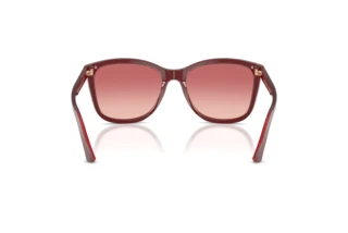 Vue arrière Emporio Armani EA4060 (6377A5)