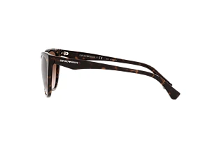Vue latérale Emporio Armani EA4162 (587913)