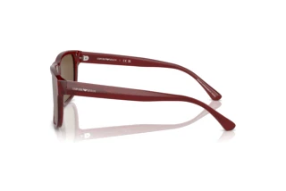 Vue latérale Emporio Armani EA4163 (507573)