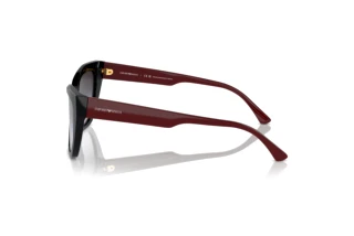 Vue latérale Emporio Armani EA4176 (50178G)