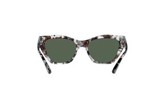 Vue arrière Emporio Armani EA4176 (509771)