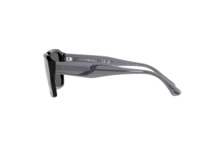 Vue latérale Emporio Armani EA4186 (501787)