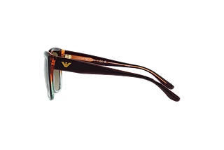 Vue latérale Emporio Armani EA4198 (59898E)