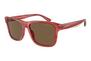 Emporio Armani EA4208 605373 Dark BrownShiny Bordeaux/Top Smoke